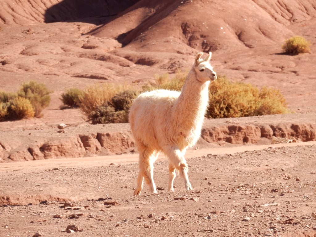 Valle del Arcoíris
