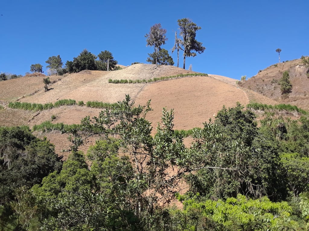 Valle Nuevo National Park