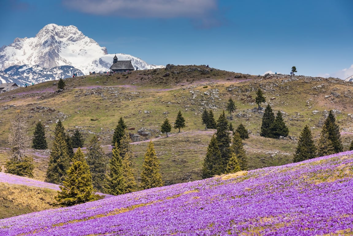 Velika Planina Alpine Pastures