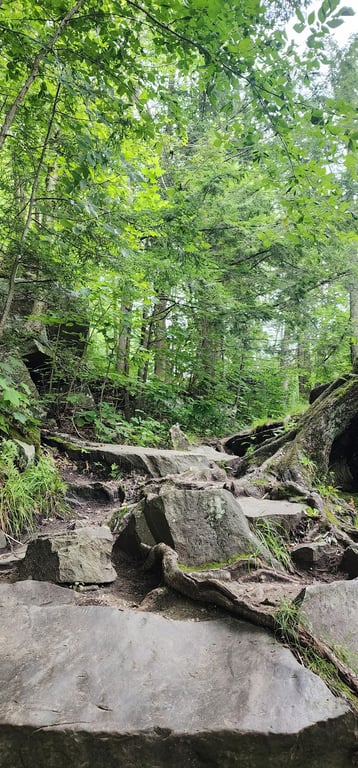 Bristol Falls