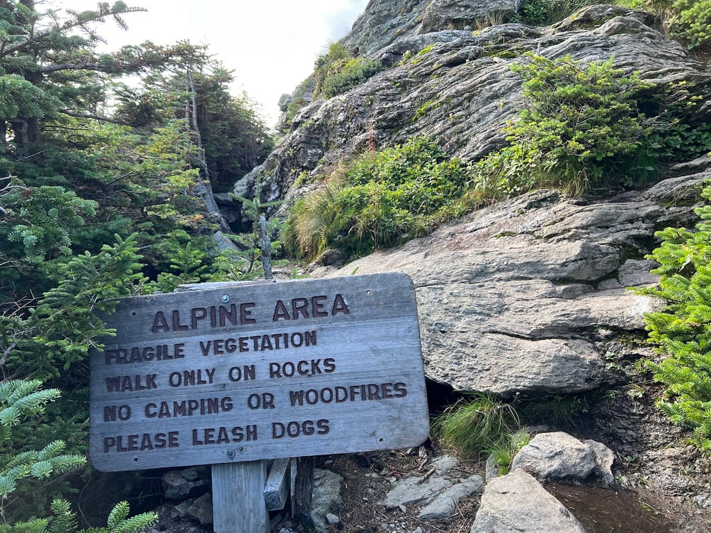 Camel's Hump