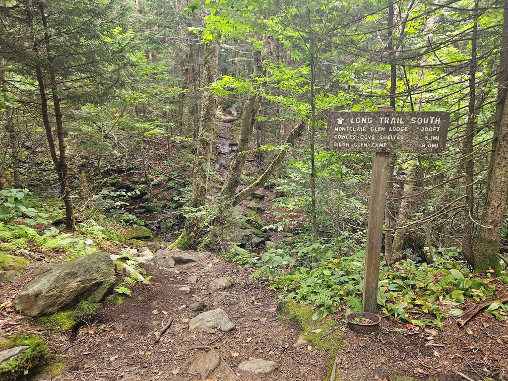 Camel's Hump View