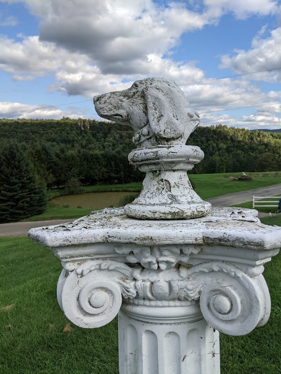 Dog Mountain