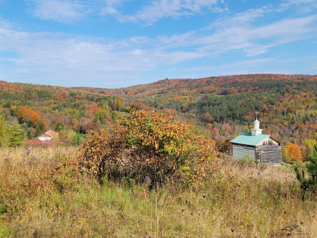 Dog Mountain