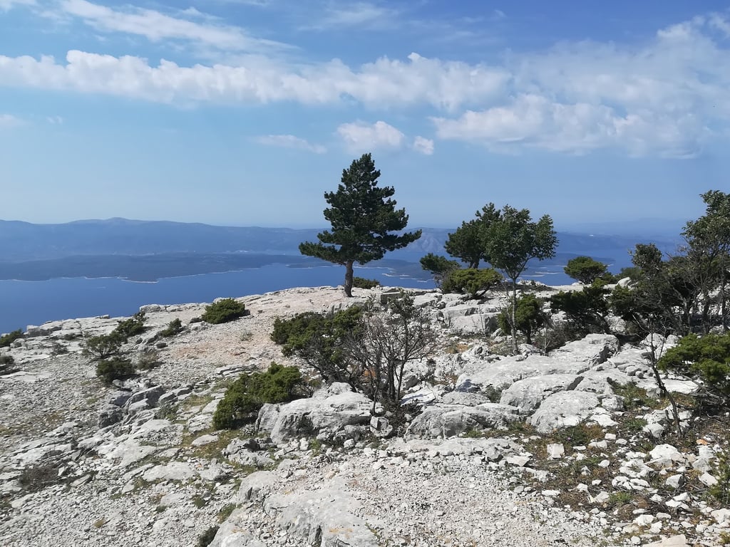 Vidova Gora Summit View