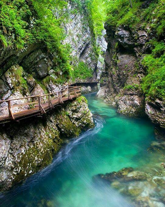 Virgin Forest Reserve