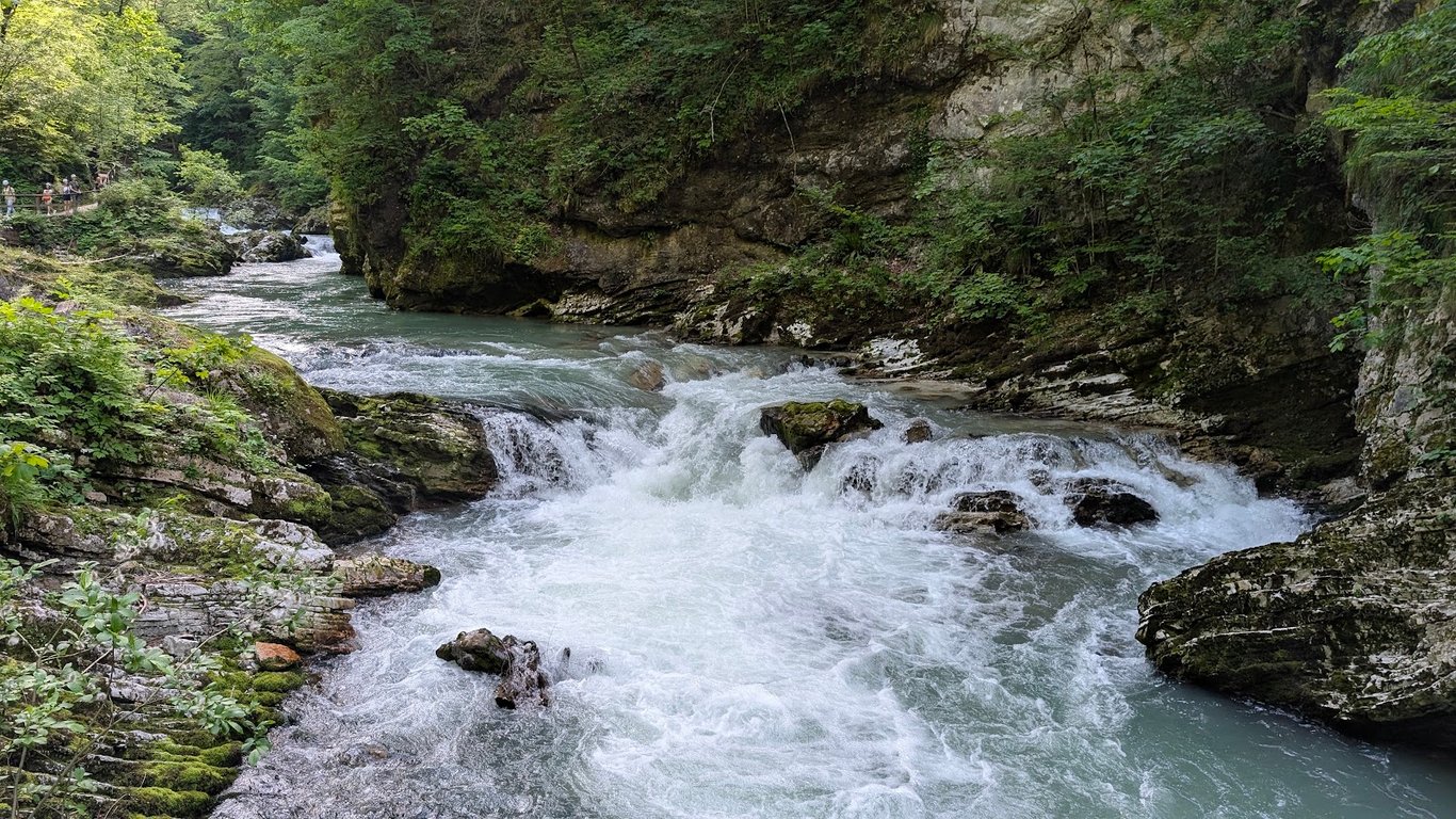 Virgin Forest Reserve