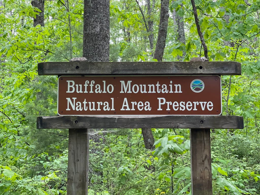 Buffalo Mountain Natural Area Preserve