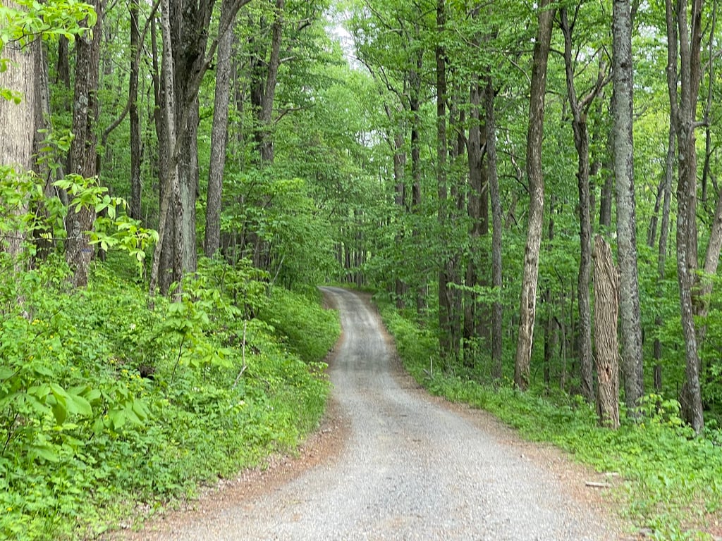 Buffalo Mountain Natural Area Preserve