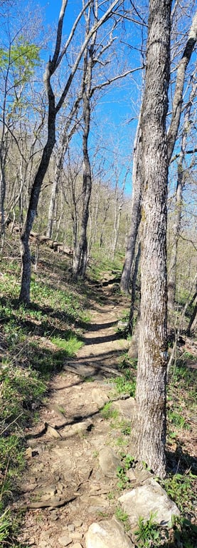 Buffalo Mountain Natural Area Preserve