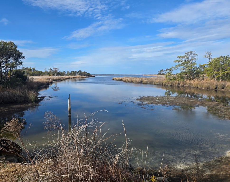 False Cape State Park