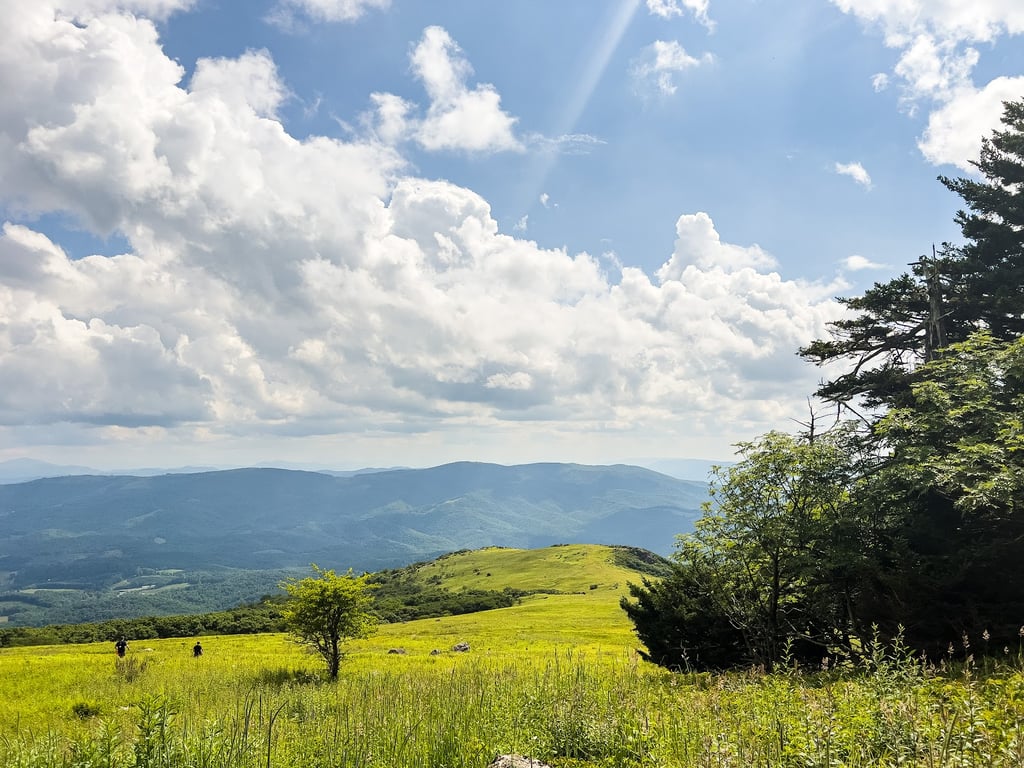 Grayson Highlands State Park