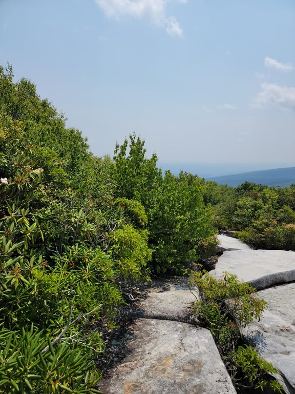 Great Channels of Virginia