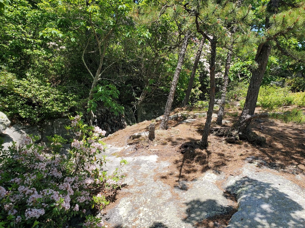 McAfee Knob