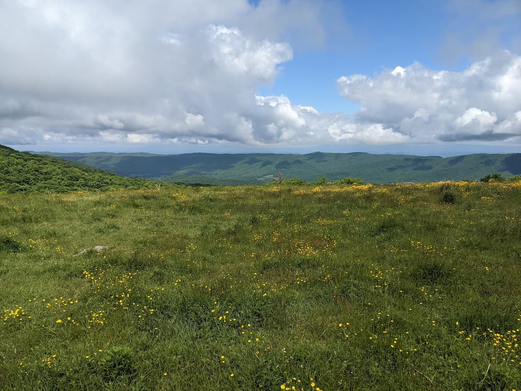 Mount Rogers