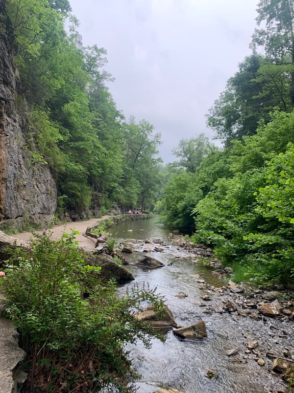 Natural Bridge State Park