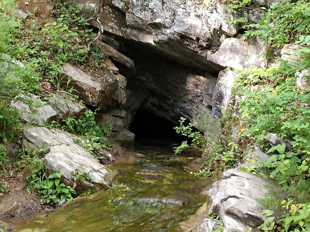 Natural Bridge State Park