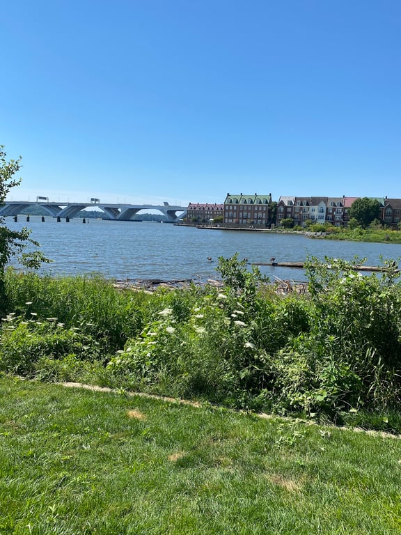 Old Town Alexandria Waterfront