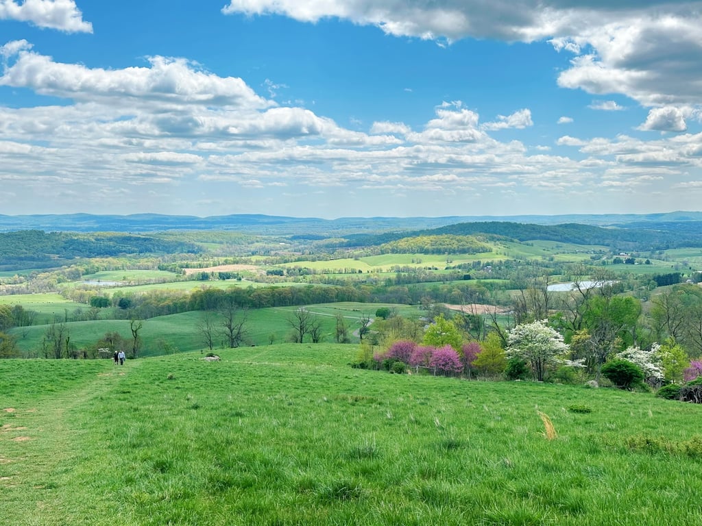Sky Meadows State Park