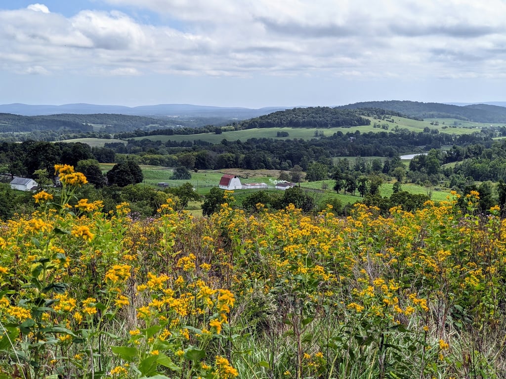Sky Meadows State Park
