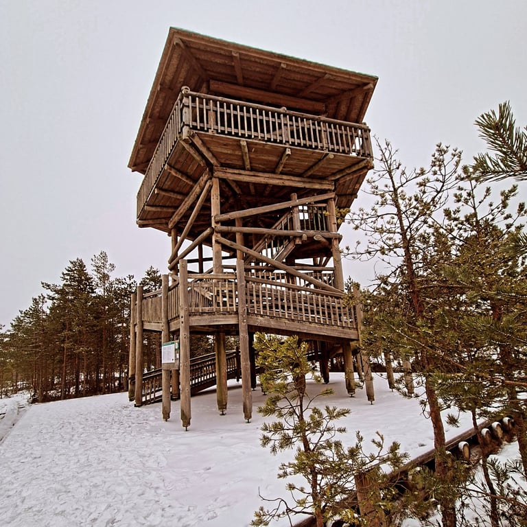 Viru Bog