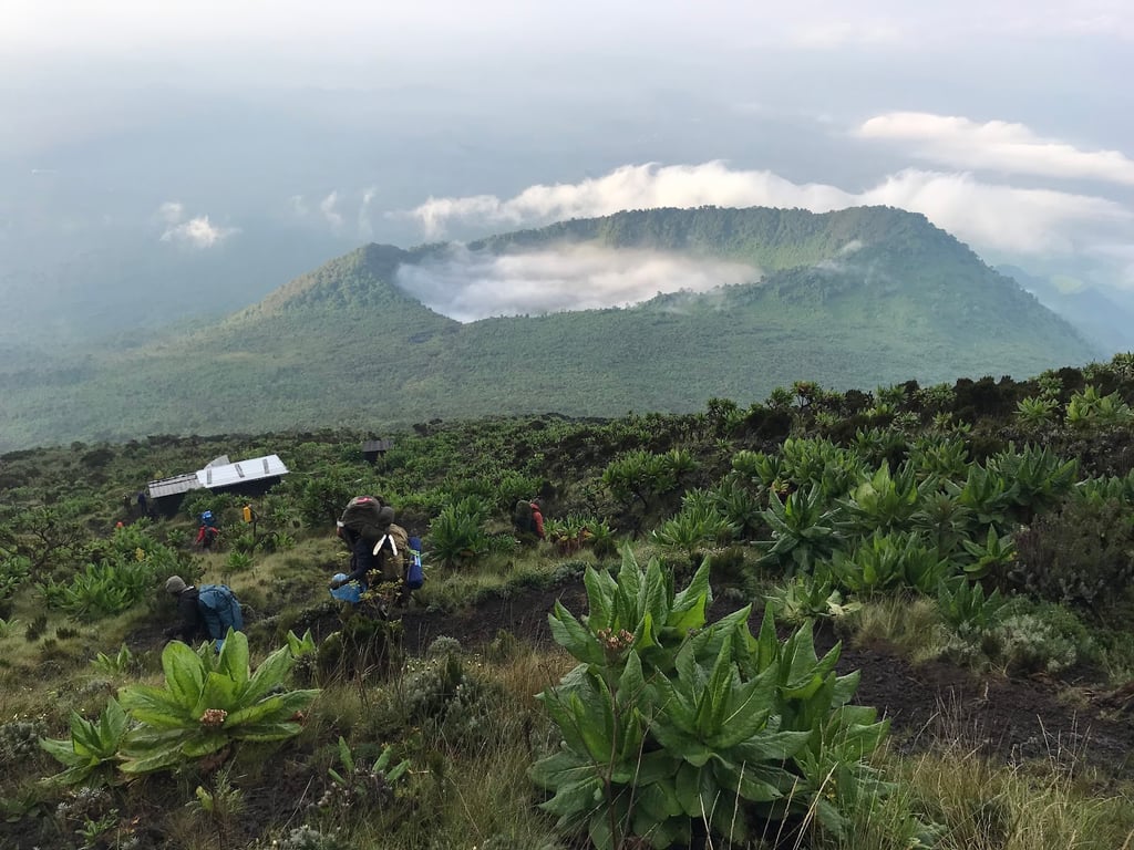 Virunga National Park