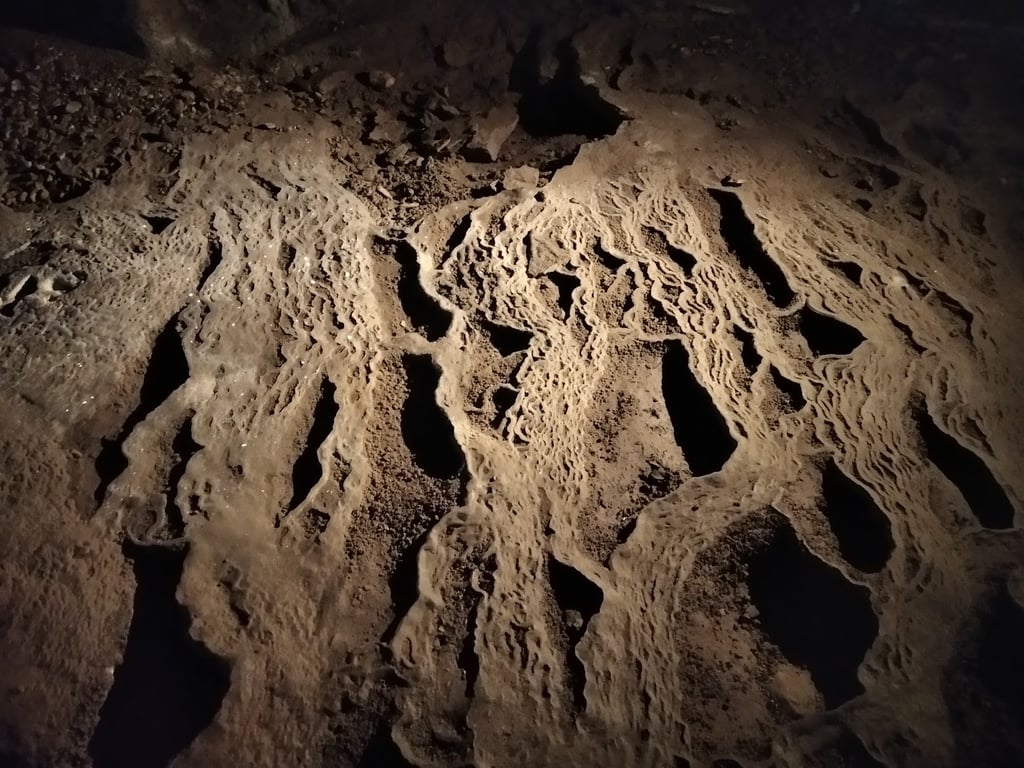 Vjetrenica Cave
