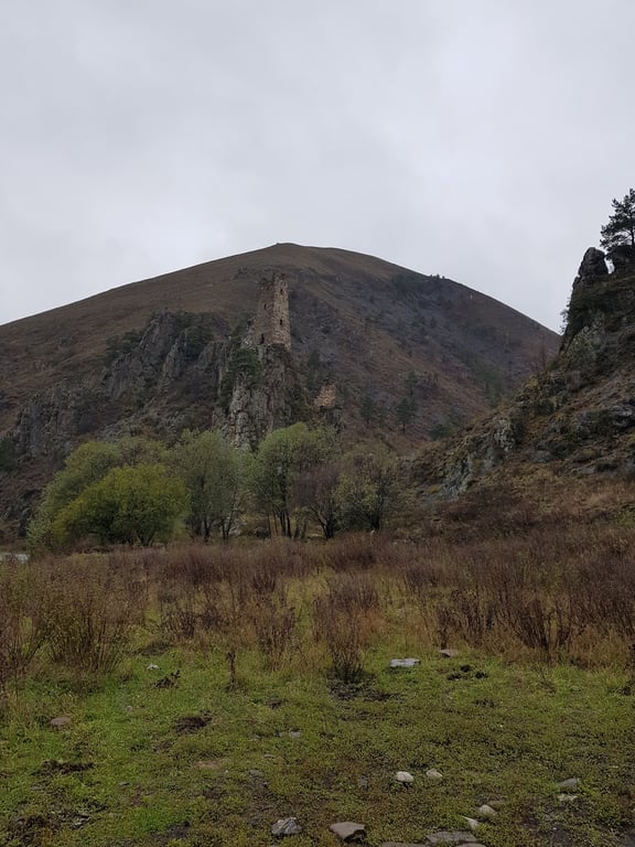 Vovnushki Towers
