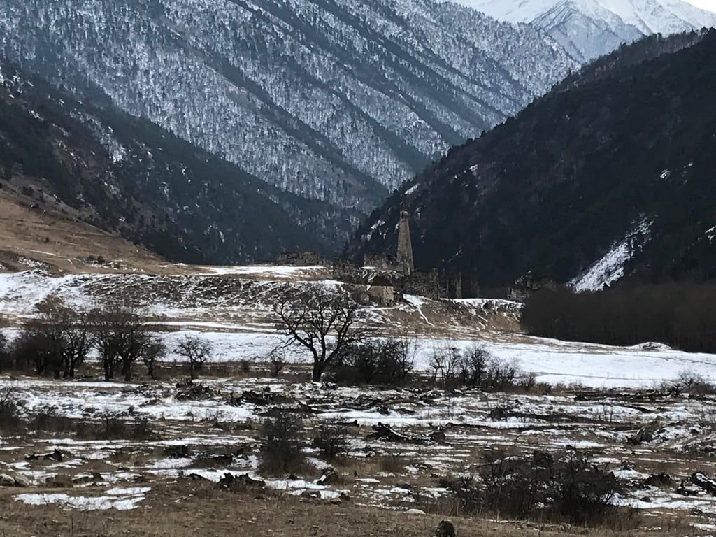 Vovnushki Towers