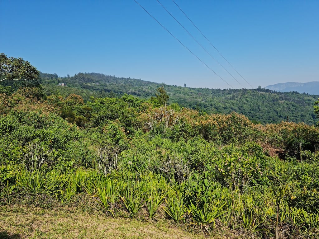 Vumba Mountains