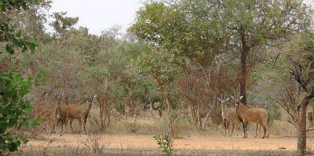 W National Park