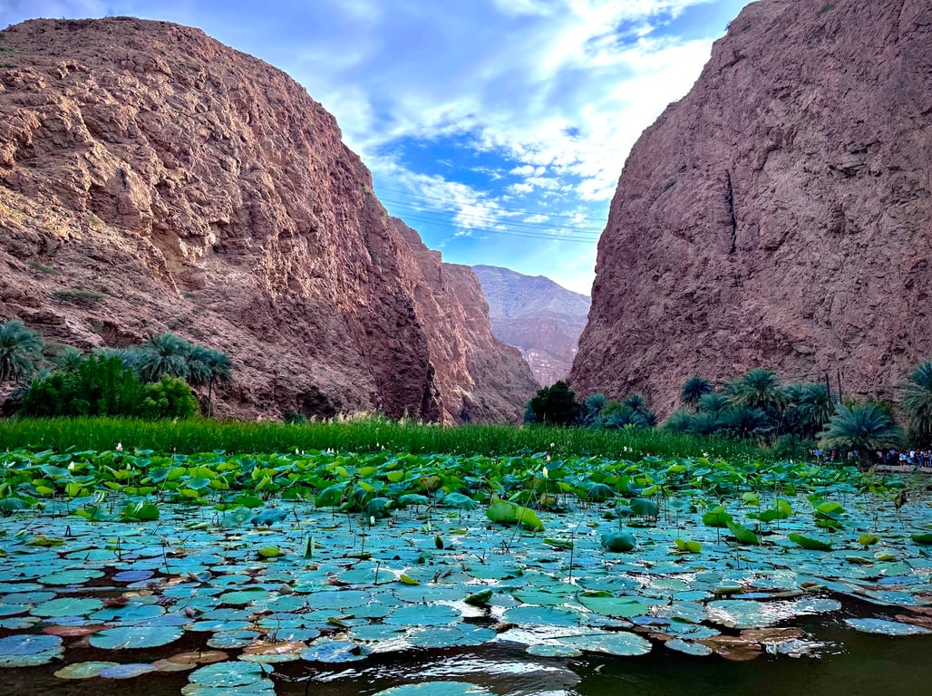 Wadi Shab