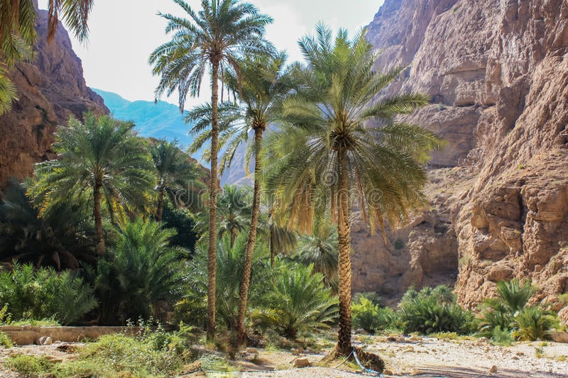 Wadi Shab