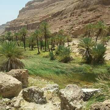 Wadi Hadramaut Panorama