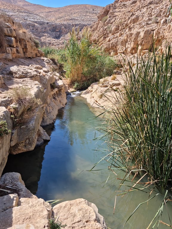 Wadi Qelt & St. George’s Monastery