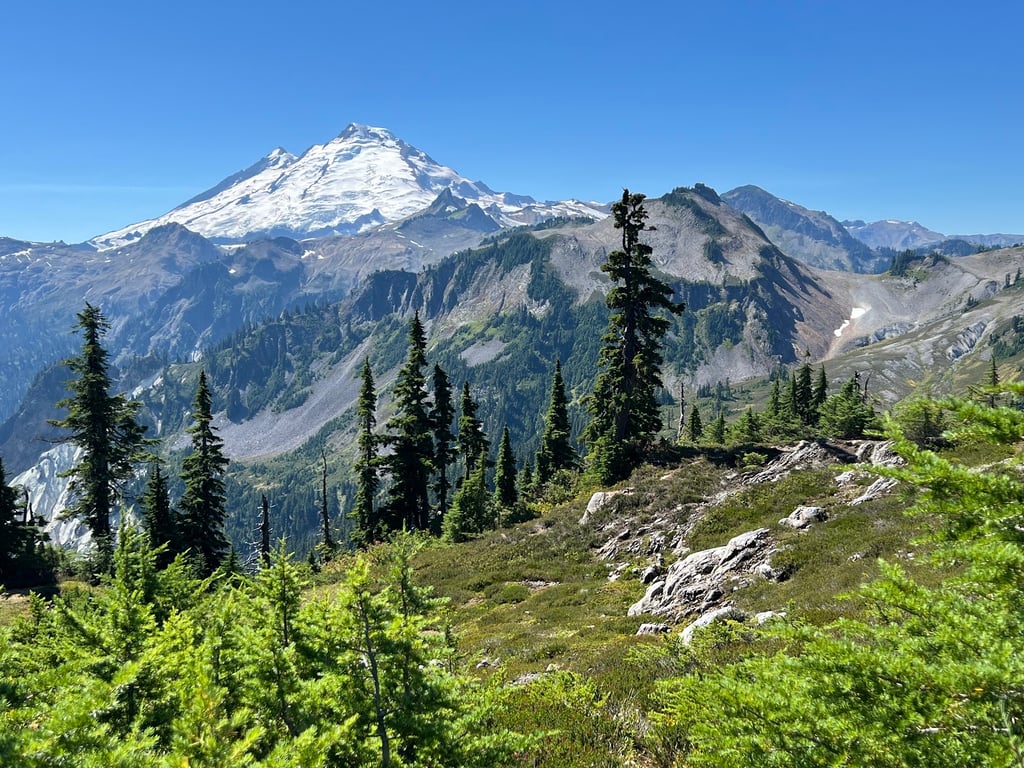 Artist Point