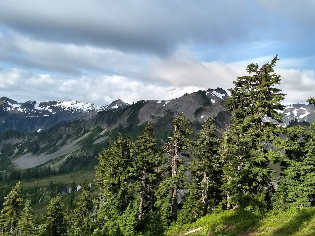 Artist Point