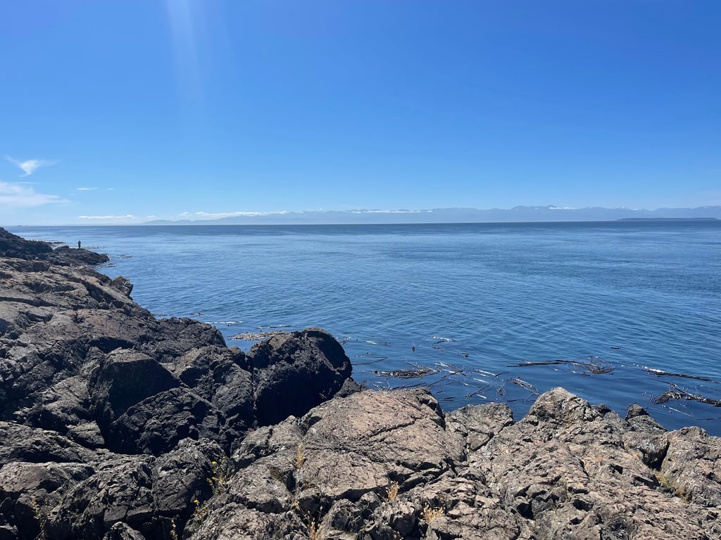 Lime Kiln Point State Park
