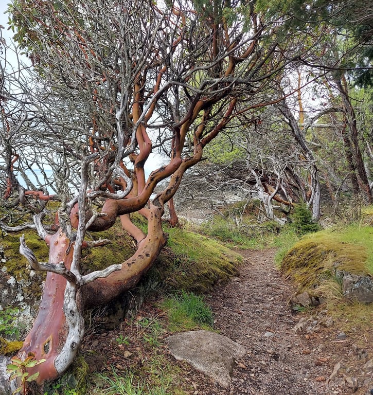 Lime Kiln Point State Park