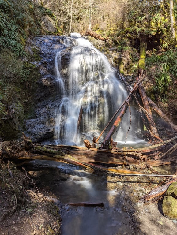 Moran State Park