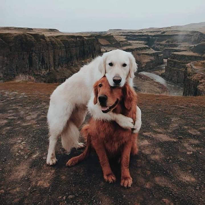 Palouse Falls State Park