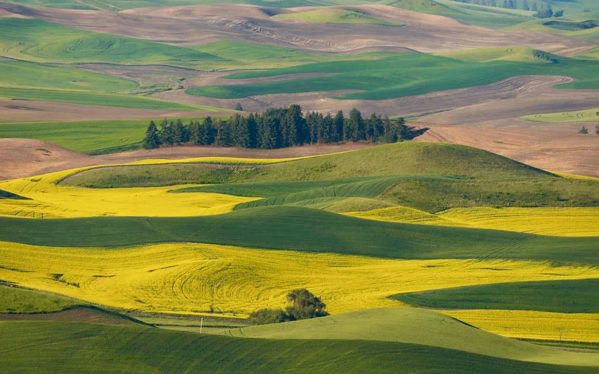 Steptoe Butte State Park