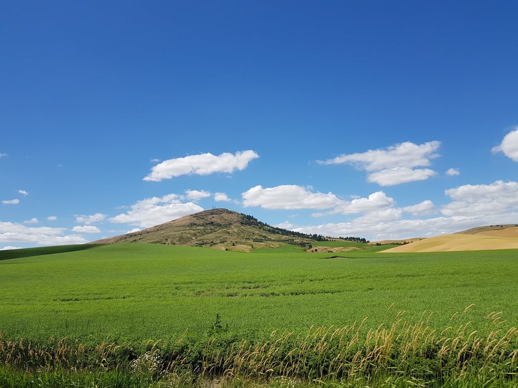 Steptoe Butte State Park