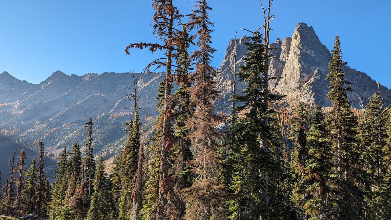 Washington Pass Overlook