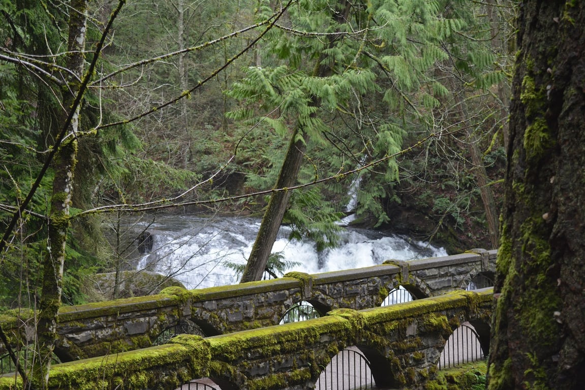 Whatcom Falls Park
