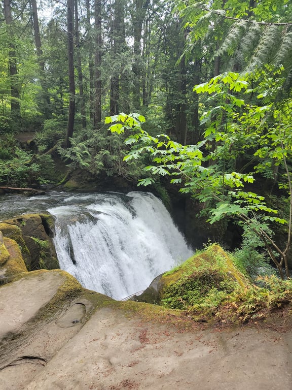 Whatcom Falls Park