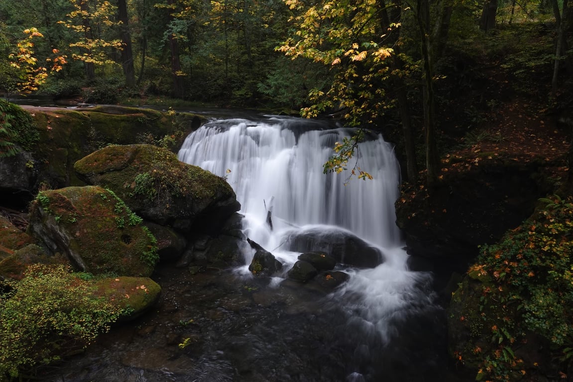 Whatcom Falls Park