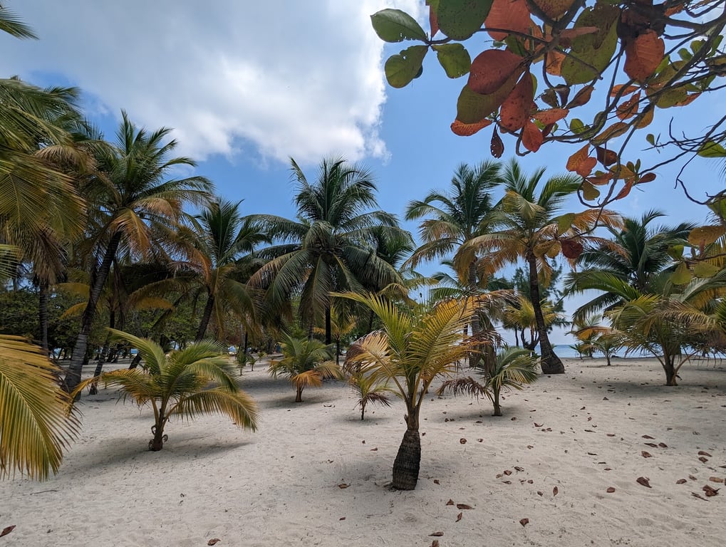 Water Cay