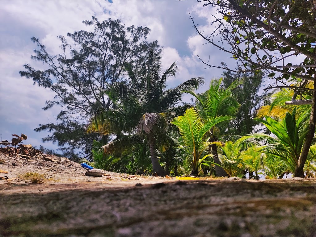 Water Cay