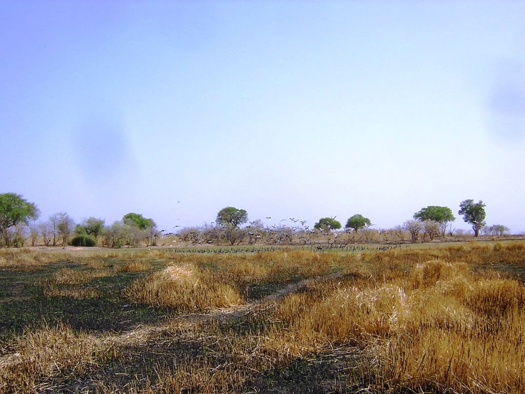 Waza National Park